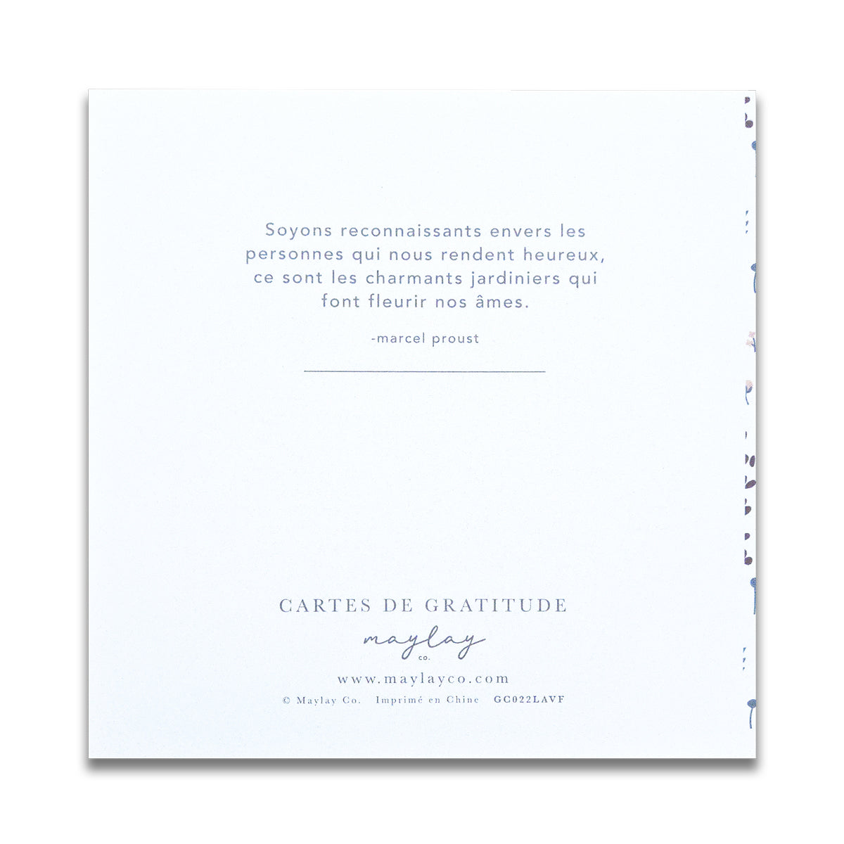 So Delicate Cartes de Gratitude Greeting Card in French