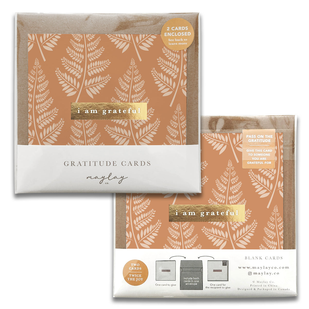 A pack of Maylay Co.'s Fern Gratitude Greeting Cards features delightful greeting cards adorned with fern-like patterns on an orange background, each card displaying "I am grateful" on the front. This package includes two blank cards ideal for expressing heartfelt thanks.