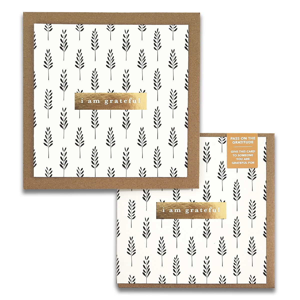 The Field Monochrome Gratitude Greeting Cards by Maylay Co. present two cards adorned with a minimalistic black and white plant design, each framed with a brown border and featuring a gold "I am grateful" label. The packaging includes a sticker that underscores the theme of thankfulness.