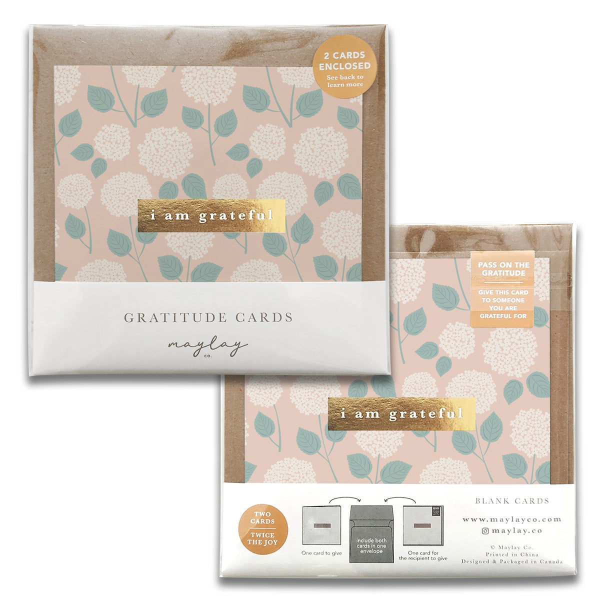 The Hydrangeas Floral Gratitude Greeting Cards by Maylay Co. include two cards showcasing a floral design with white hydrangeas and green leaves against a peach background. Featuring the phrase "I am grateful," these pastel-hued cards are packaged to display both the front and back views, making them ideal for expressing heartfelt thanks.