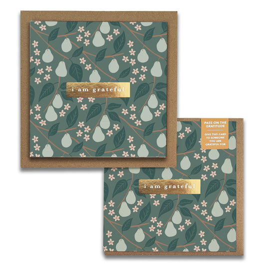 Two square Pears Gratitude Greeting Cards from Maylay Co. feature a green pear and leaf design on a teal background. Each card includes a gold rectangle with the words "i am grateful." A small sticker on the envelope encourages sharing the card to spread gratitude.