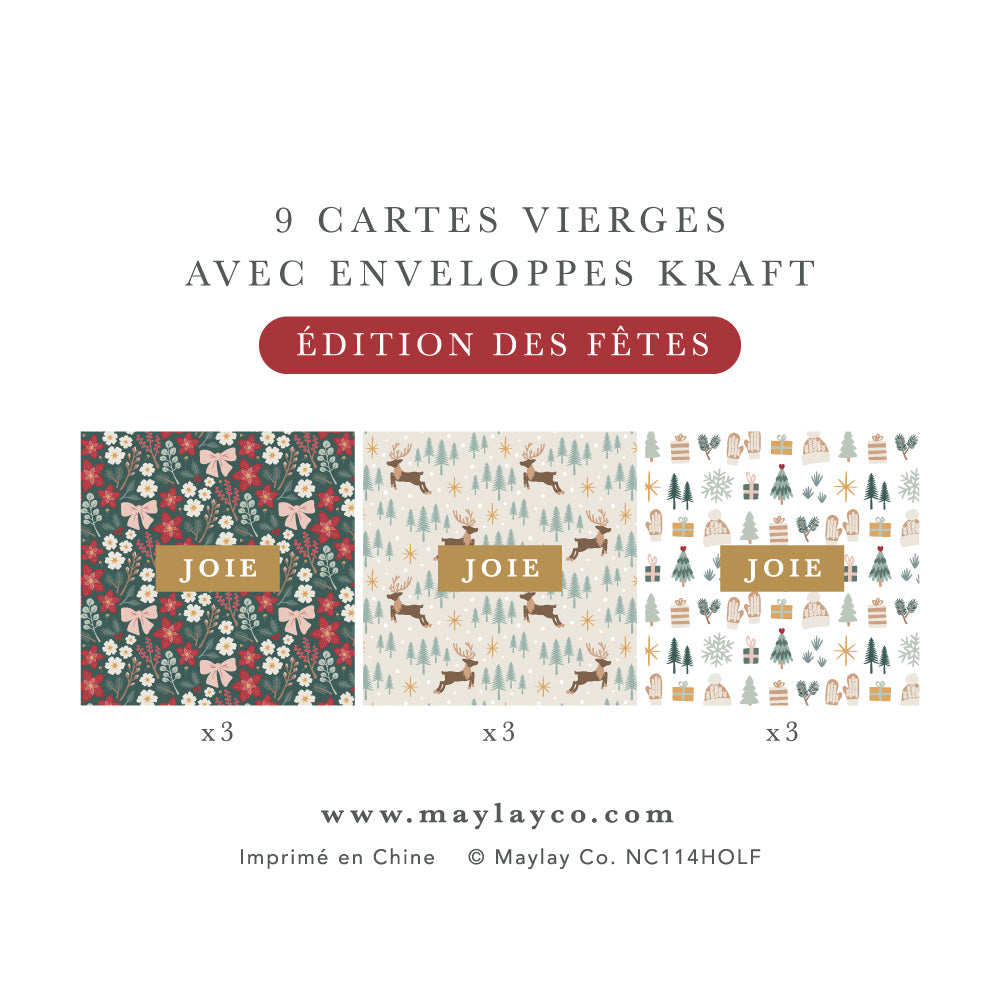 Neuf mini cartes de notes JOIE : trois de chaque motif, avec enveloppes kraft